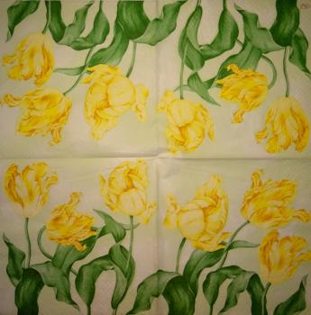 228 Tulpen - 3-lagig - Paw